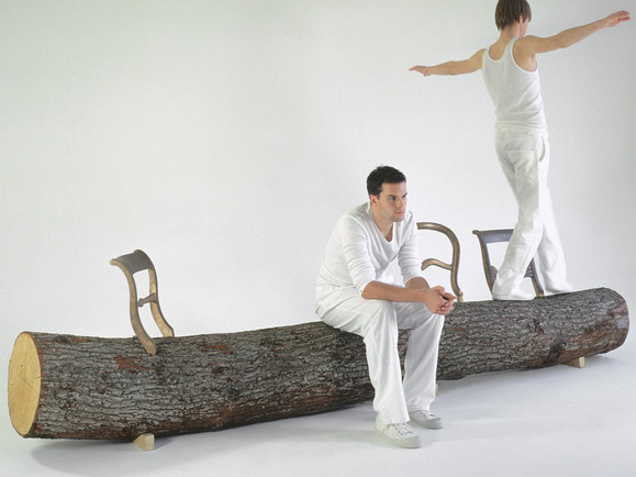 tree_trunk_bench_01jpg